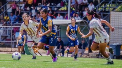 Fútbol femenil