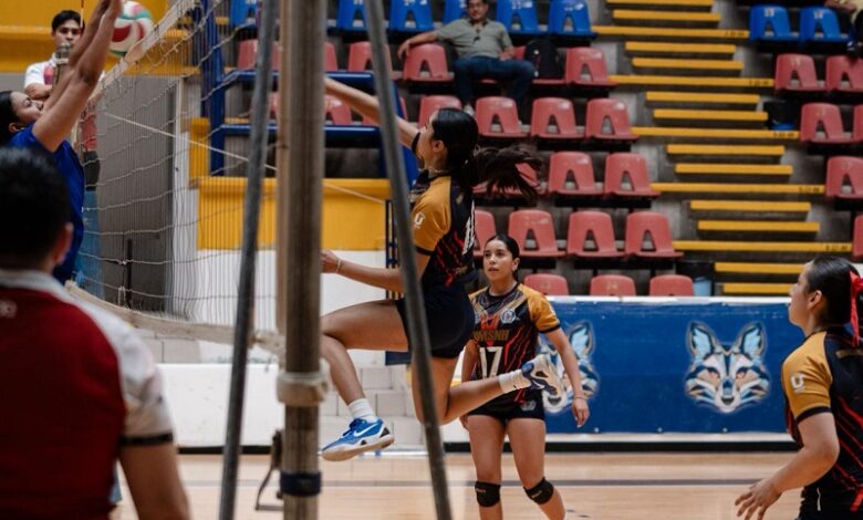 UMSNH, Voleibol Femenil