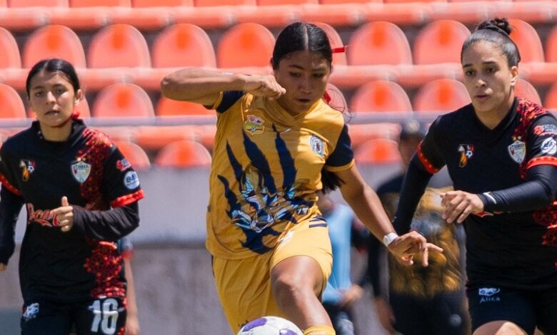 Atletico Morelia-UMSNH
