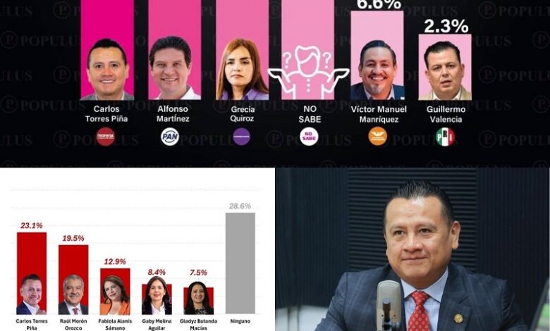 Michoacán 2027, Carlos Torres Piña