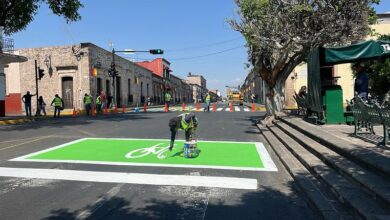 Sedum, balizamiento, Morelia