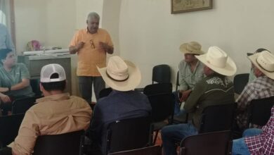 Salud animal, Morelia