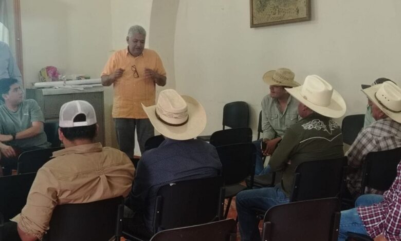 Salud animal, Morelia
