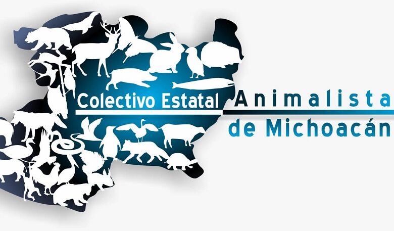 Bienestar animal, Michoacán