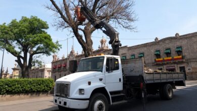 Gobierno de Morelia, Servicios Públicos