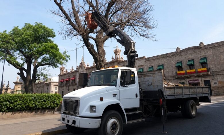 Gobierno de Morelia, Servicios Públicos