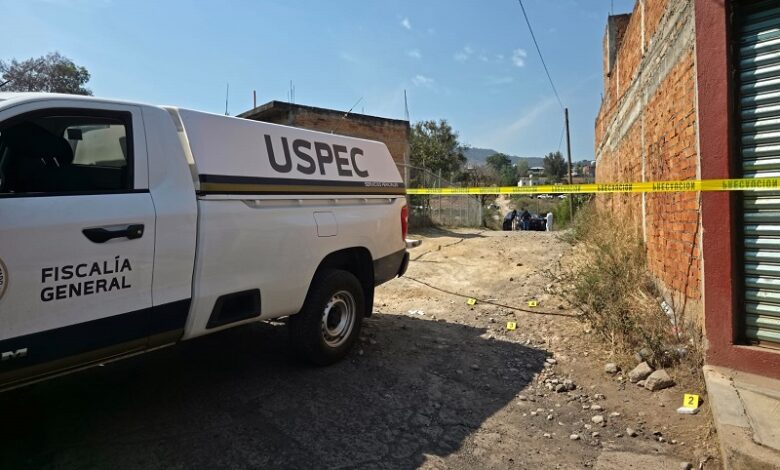 Seguridad, Morelia