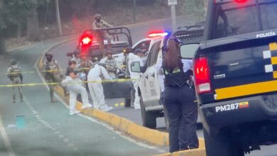 Seguridad pública, Homicidio