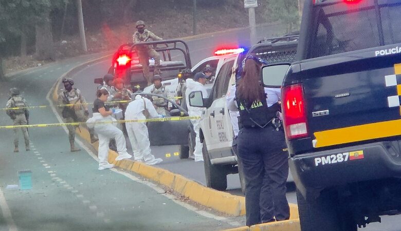Seguridad pública, Homicidio
