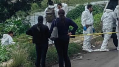 FGE, peritos