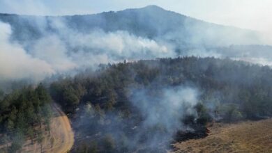 Incendio forestal