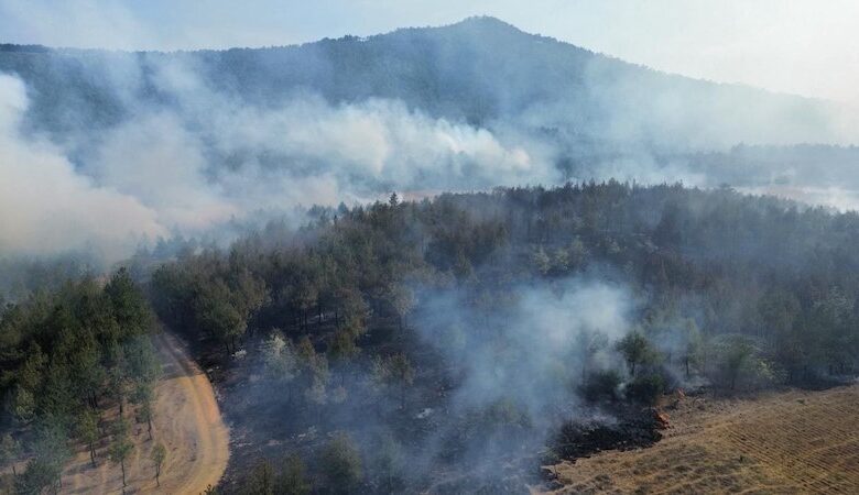 Incendio forestal