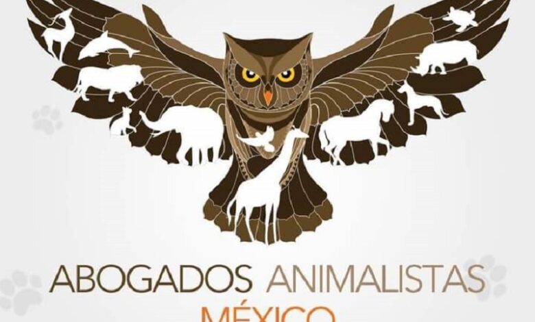 Crueldad animal, violencia juvenil, Michoacán