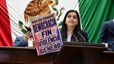 Tere Herrera, PAN