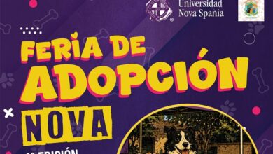 Feria de Adopción