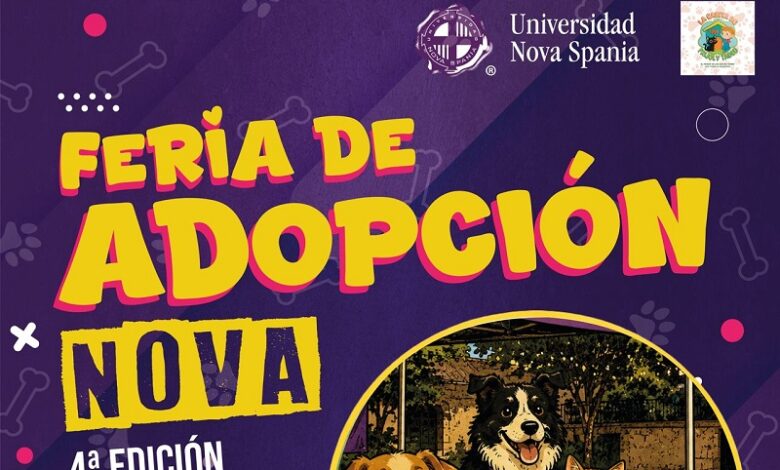 Feria de Adopción