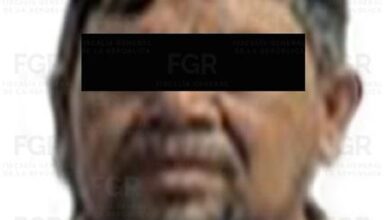FGR, Michoacán