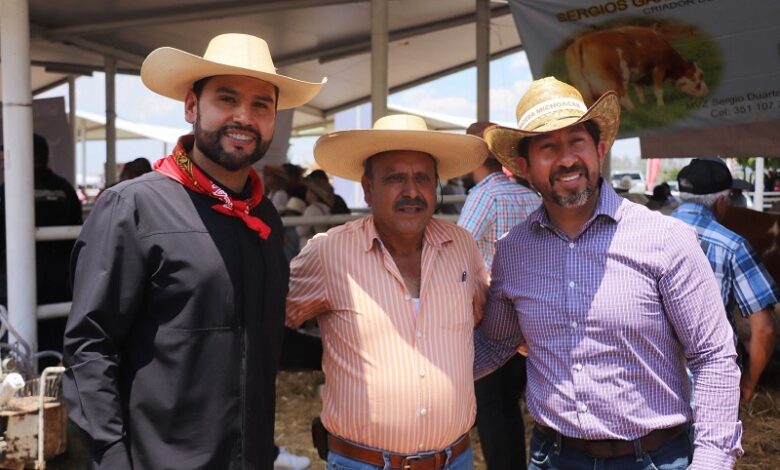Octavio Ocampo, PRD Michoacán