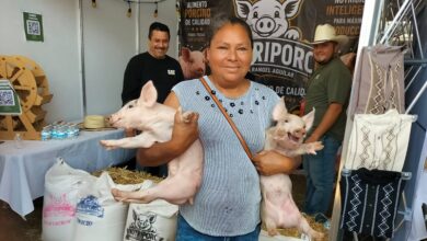 Morelia, Agrotegan