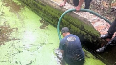 Investigación de la FGE por maltrato animal