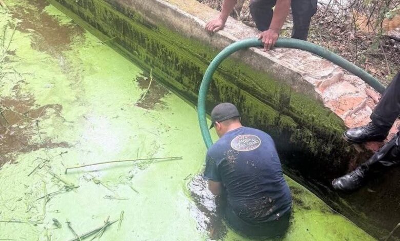 Investigación de la FGE por maltrato animal