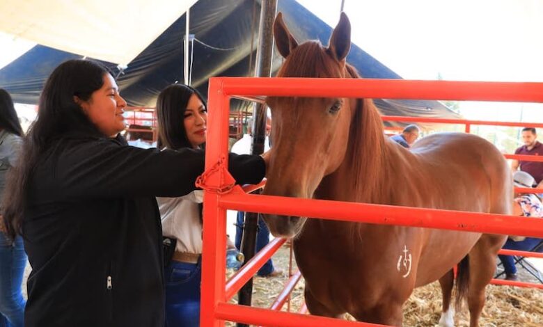 Mujeres y caballo