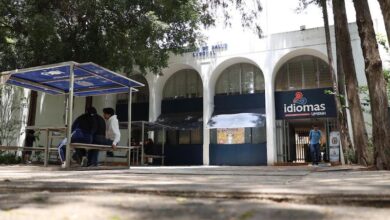 UMSNH, Idiomas