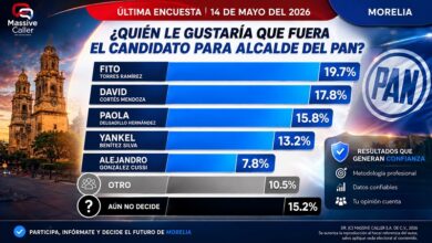 Elecciones 2026, PAN