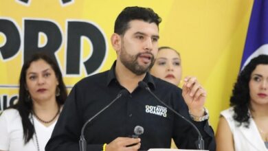 Octavio Ocampo, PRD