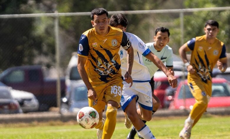 Atlético Morelia, Universidad Michoacana