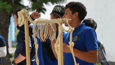 Divulgación científica, UMSNH