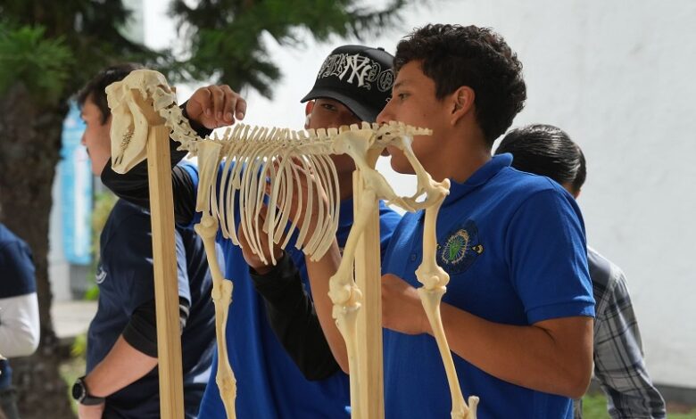 Divulgación científica, UMSNH
