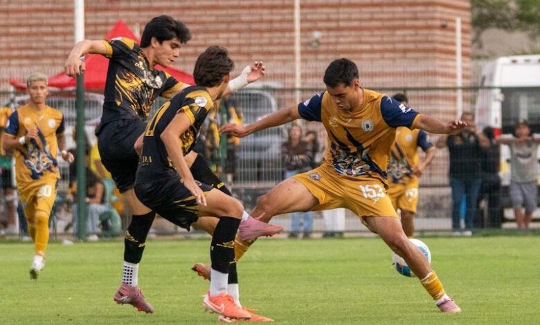 UMSNH, fútbol