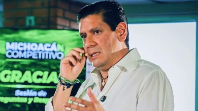 Ernesto Núñez, PVEM