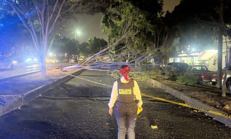 Policía Morelia, árbol caído