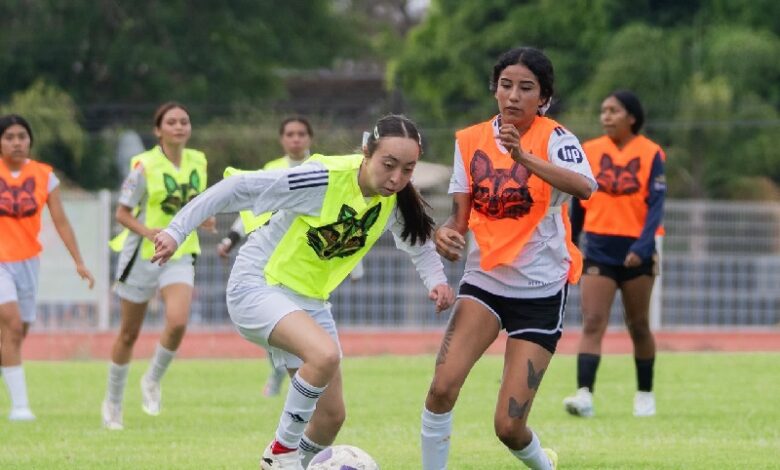 Atlético Morelia, Universidad Michoacana