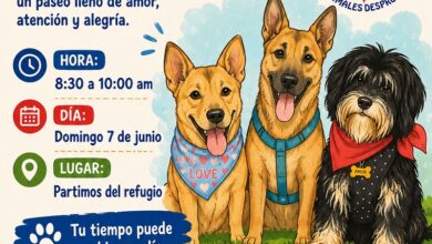 Paseandog, Morelia