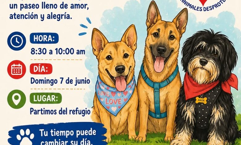 Paseandog, Morelia