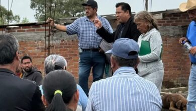 Activismo político, Morena