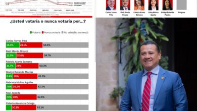 Carlos Torres Piña, Michoacán 2027, Morena