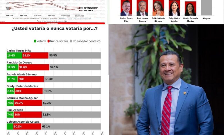 Carlos Torres Piña, Michoacán 2027, Morena