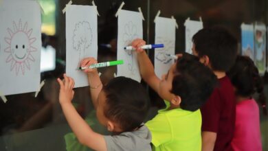 DIF Morelia, Cursos de verano
