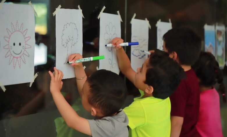 DIF Morelia, Cursos de verano