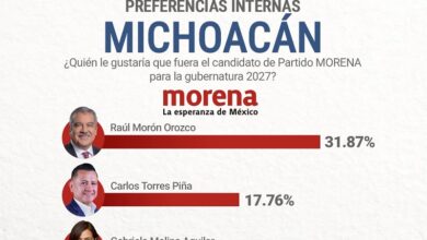 Michoacán 2027, Raúl Morón