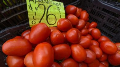 jitomates, Precio