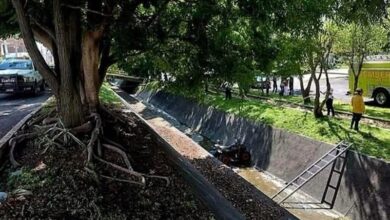 Accidente de cuatrimoto