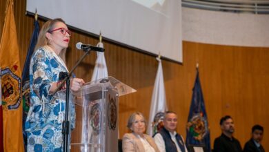 UMSNH, Verano Nicolaita, Programa Delfín 2026