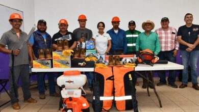 Gobierno de Morelia, Sanidad forestal