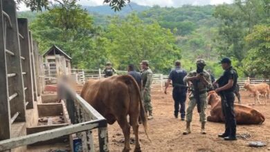 Policías y militares en corral