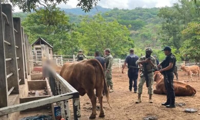 Policías y militares en corral